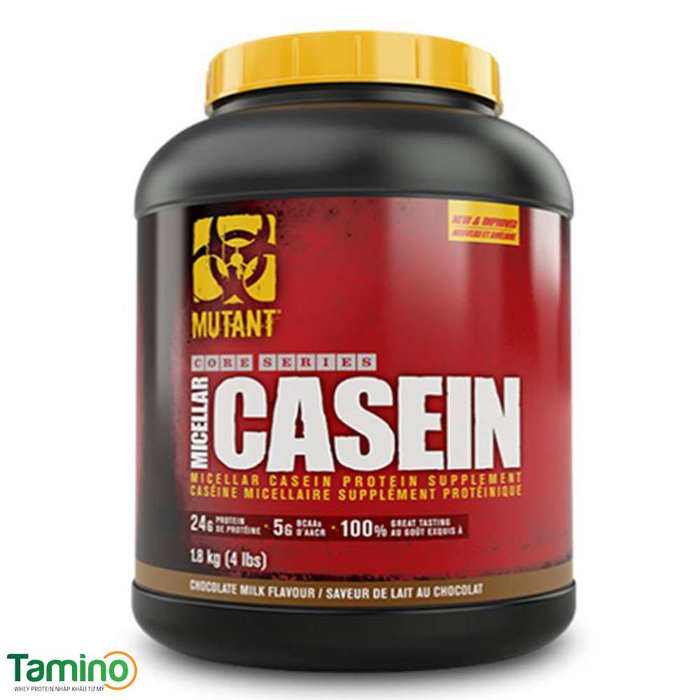 Thực phẩm bổ sung tăng cơ giảm mỡ: Casein