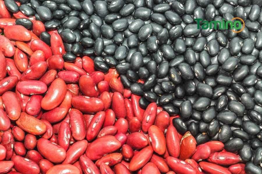Kết hợp đậu đen và đậu đỏ để tăng cân và bồi bổ cơ thể